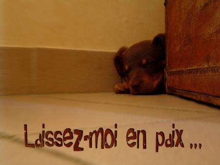 Laisser-mwa en paix...
